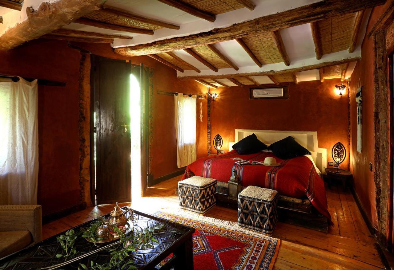 Ecolodge Bab El Oued Maroc Oasis 阿德兹 外观 照片