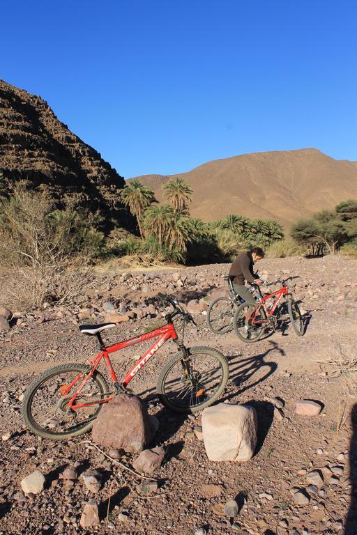 Ecolodge Bab El Oued Maroc Oasis 阿德兹 外观 照片