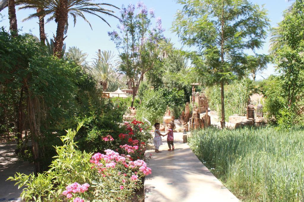 Ecolodge Bab El Oued Maroc Oasis 阿德兹 外观 照片