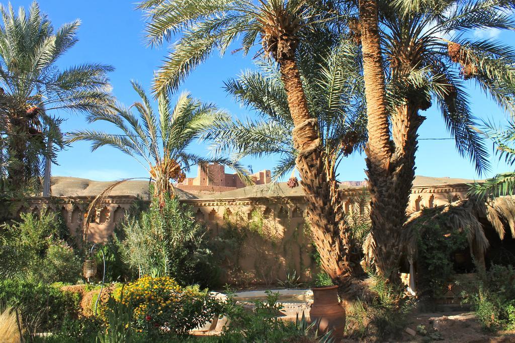 Ecolodge Bab El Oued Maroc Oasis 阿德兹 外观 照片
