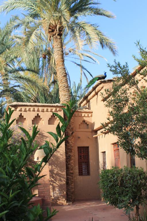 Ecolodge Bab El Oued Maroc Oasis 阿德兹 客房 照片