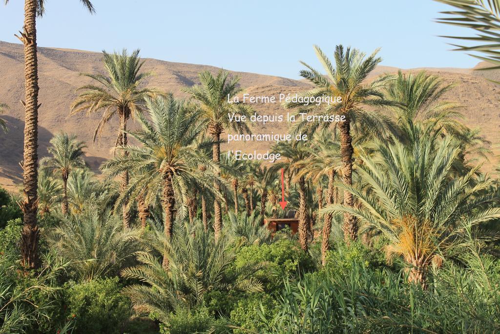 Ecolodge Bab El Oued Maroc Oasis 阿德兹 外观 照片