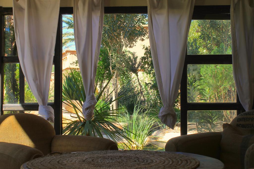 Ecolodge Bab El Oued Maroc Oasis 阿德兹 外观 照片