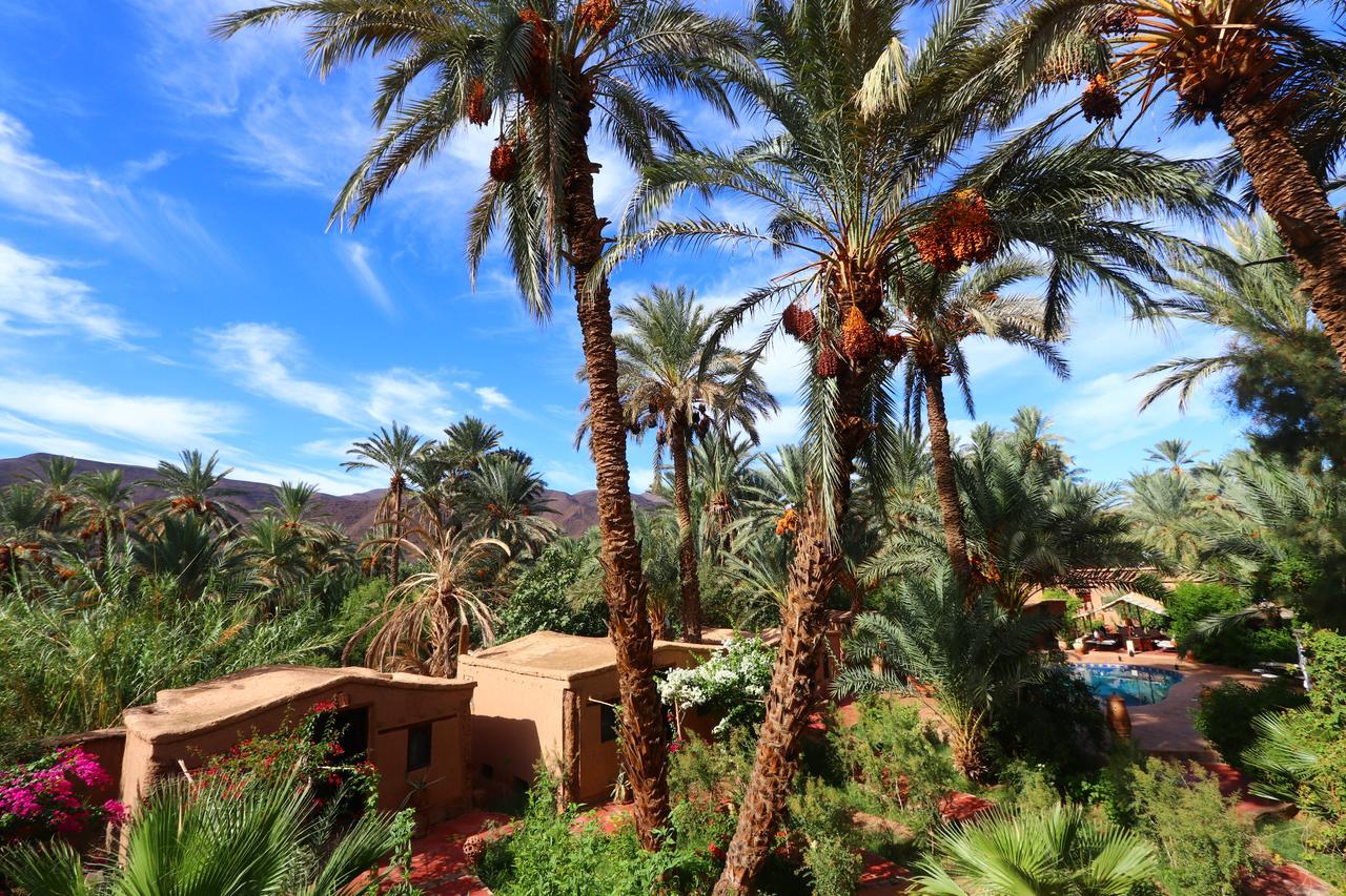 Ecolodge Bab El Oued Maroc Oasis 阿德兹 外观 照片