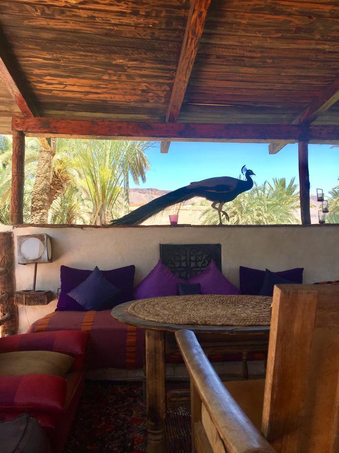 Ecolodge Bab El Oued Maroc Oasis 阿德兹 外观 照片