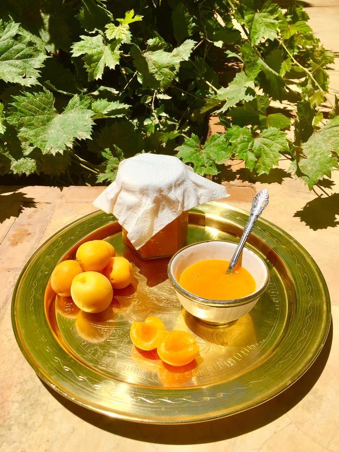 Ecolodge Bab El Oued Maroc Oasis 阿德兹 外观 照片