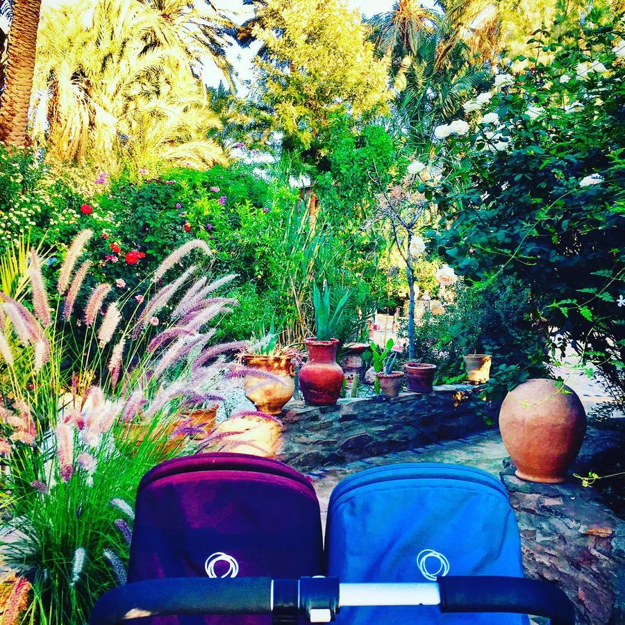 Ecolodge Bab El Oued Maroc Oasis 阿德兹 外观 照片